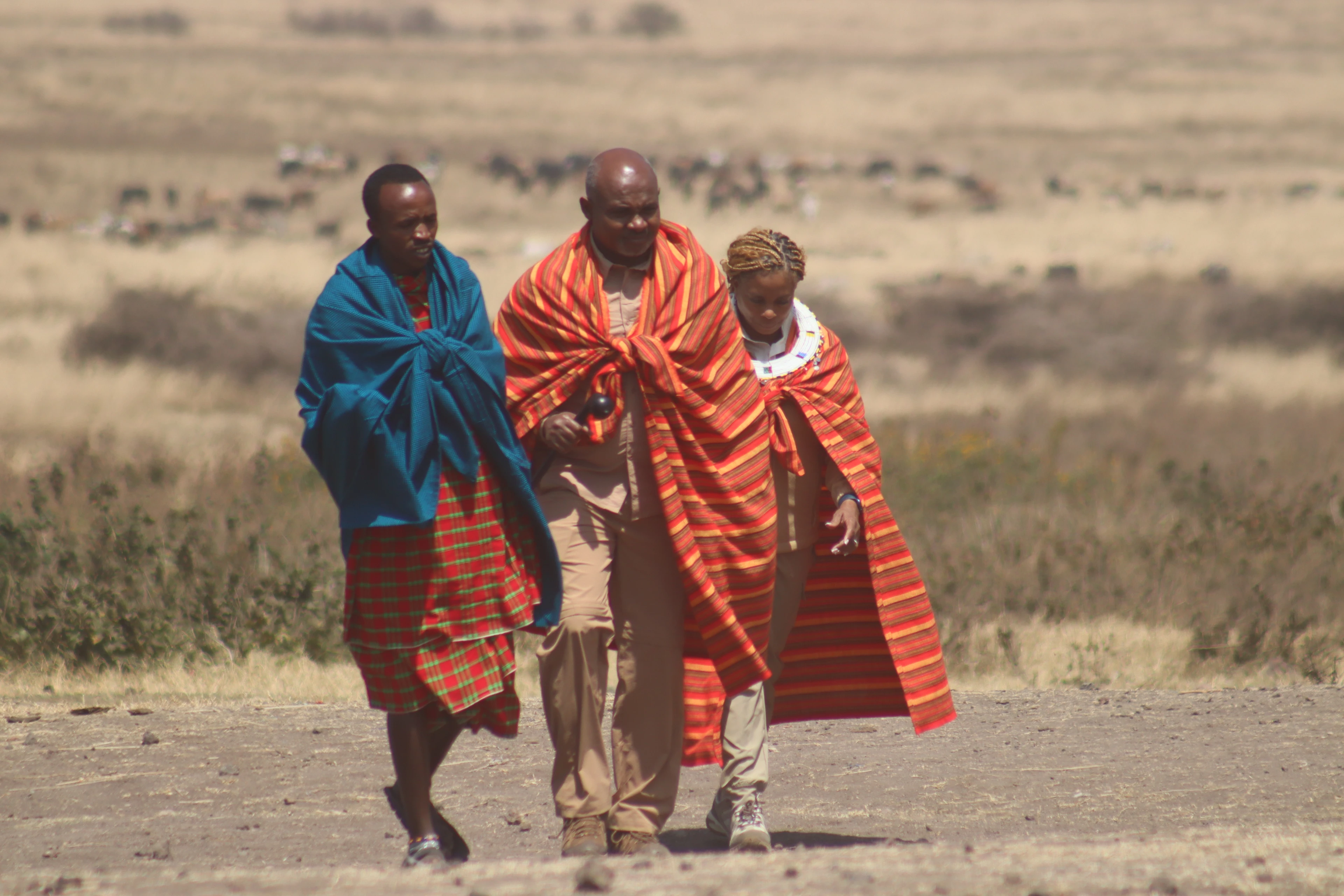 Walking Safaris with Norine Forbes Safaris