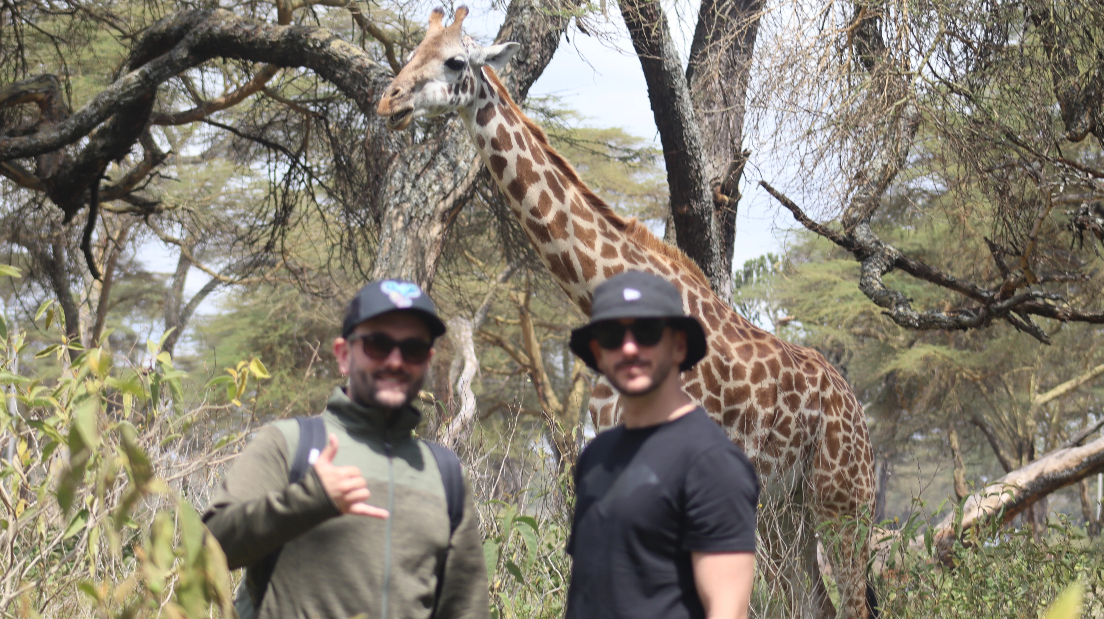 Conservation with Norine Forbes Safaris