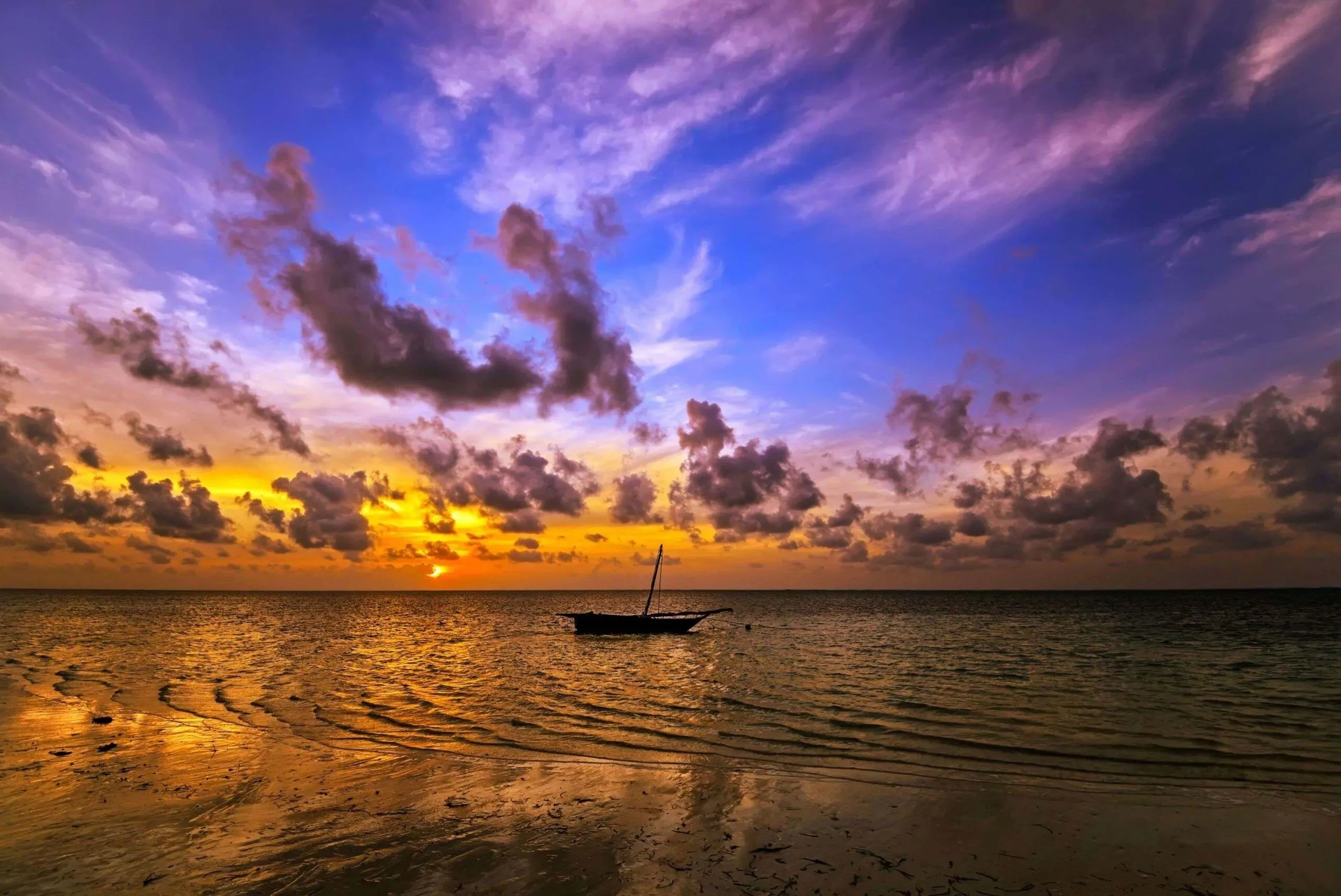 Bush & Beach with Norine Forbes Safaris