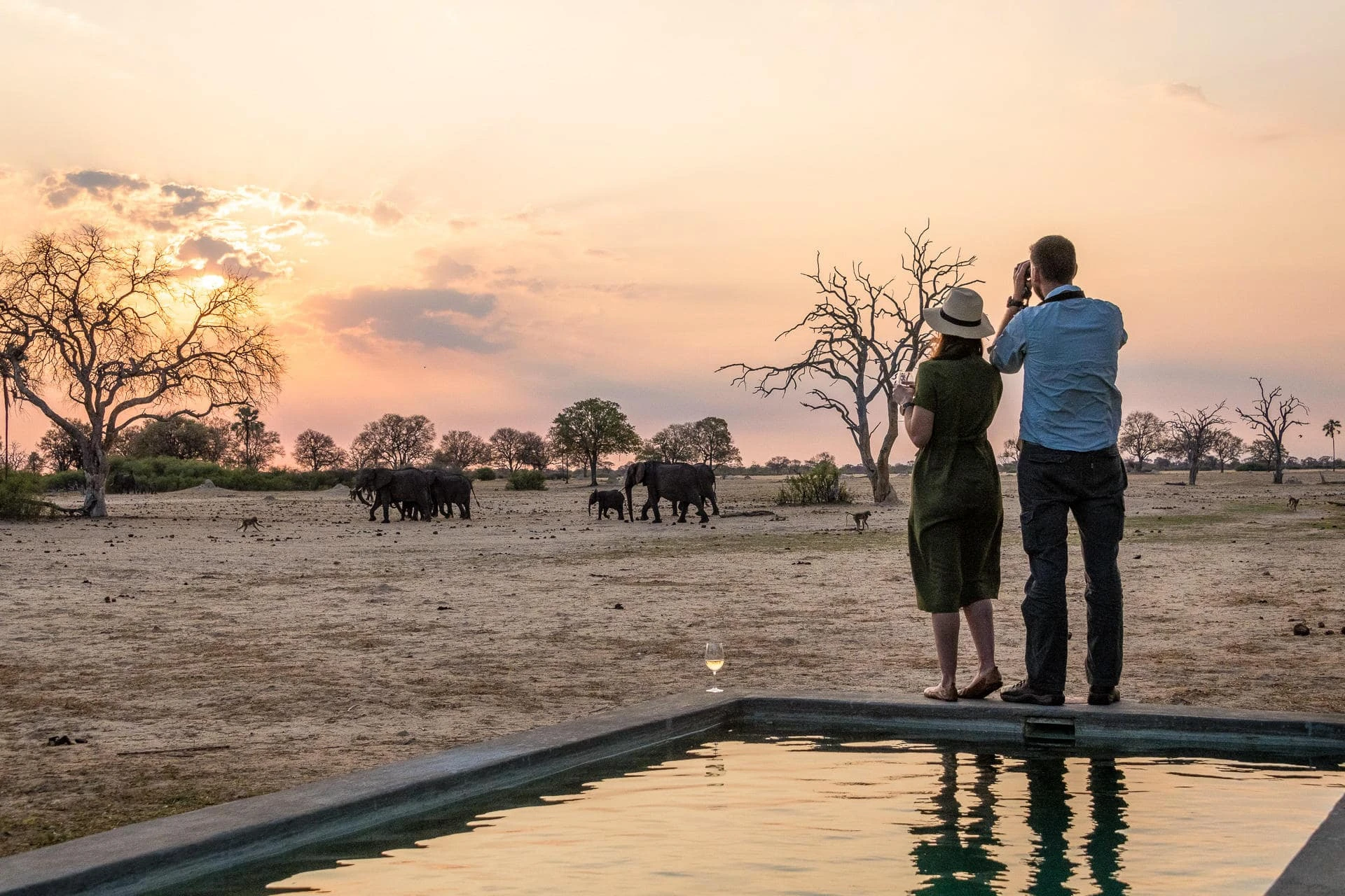 The Romance Collection safari landscape