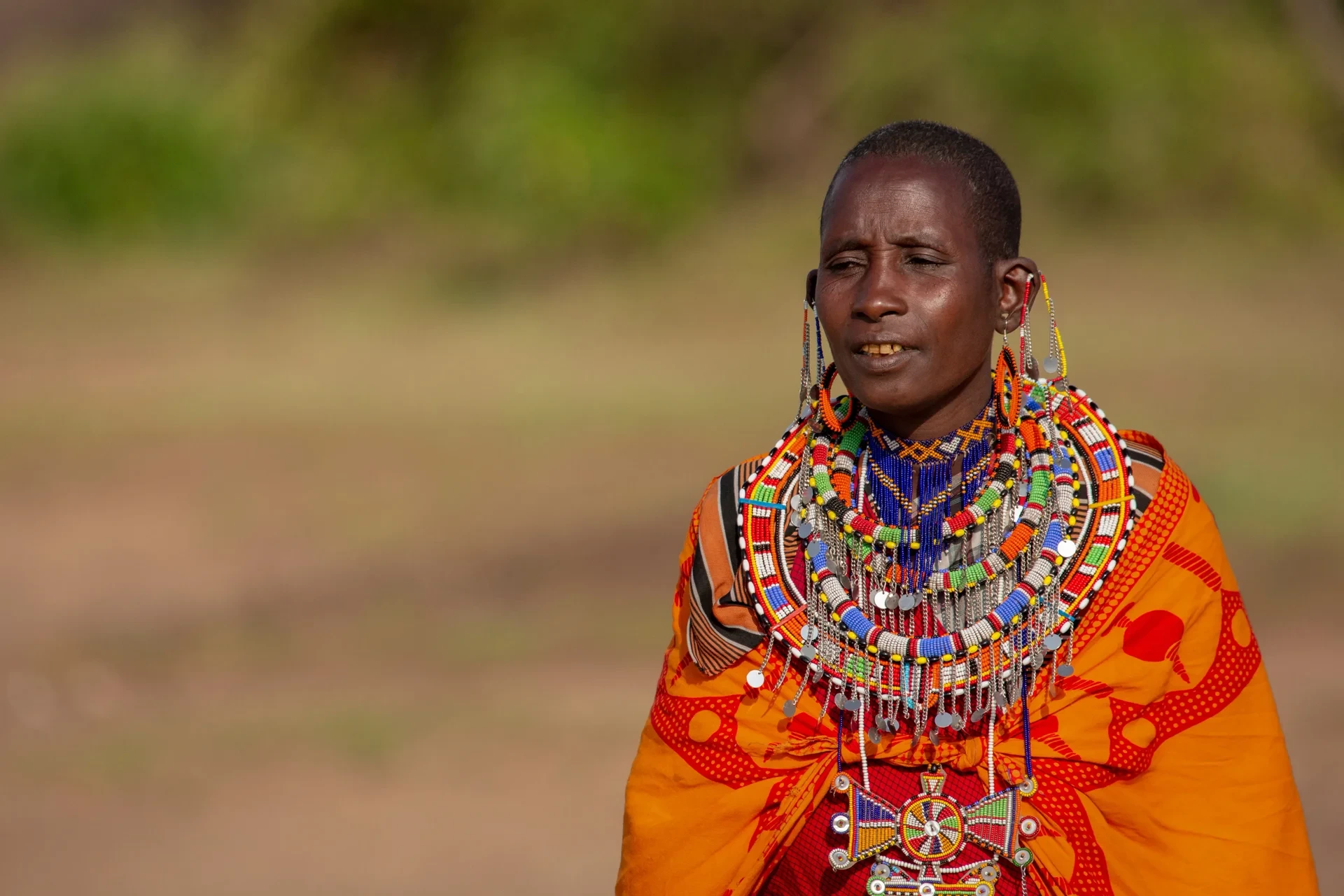 5 Days Tanzania Safari – Tarangire, Ngorongoro & Serengeti Experience