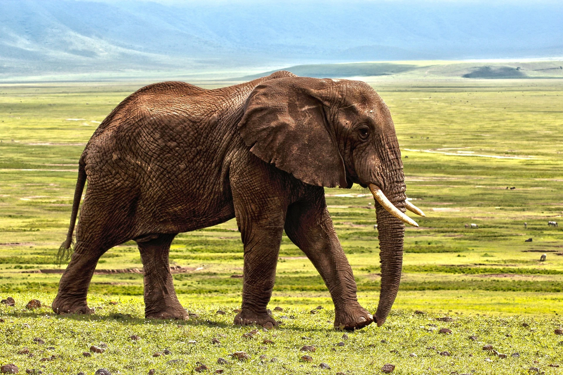 Tanzania