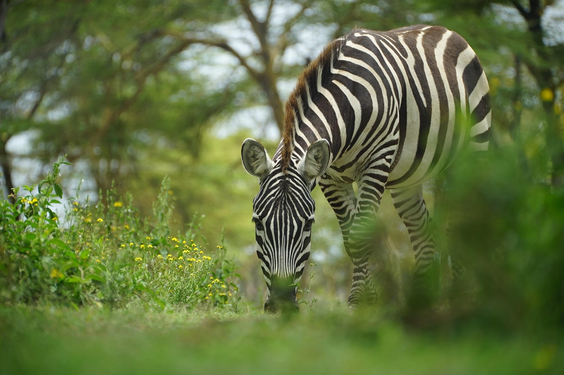 Guide de voyage en Tanzanie: Ce qu'il faut savoir avant de partir