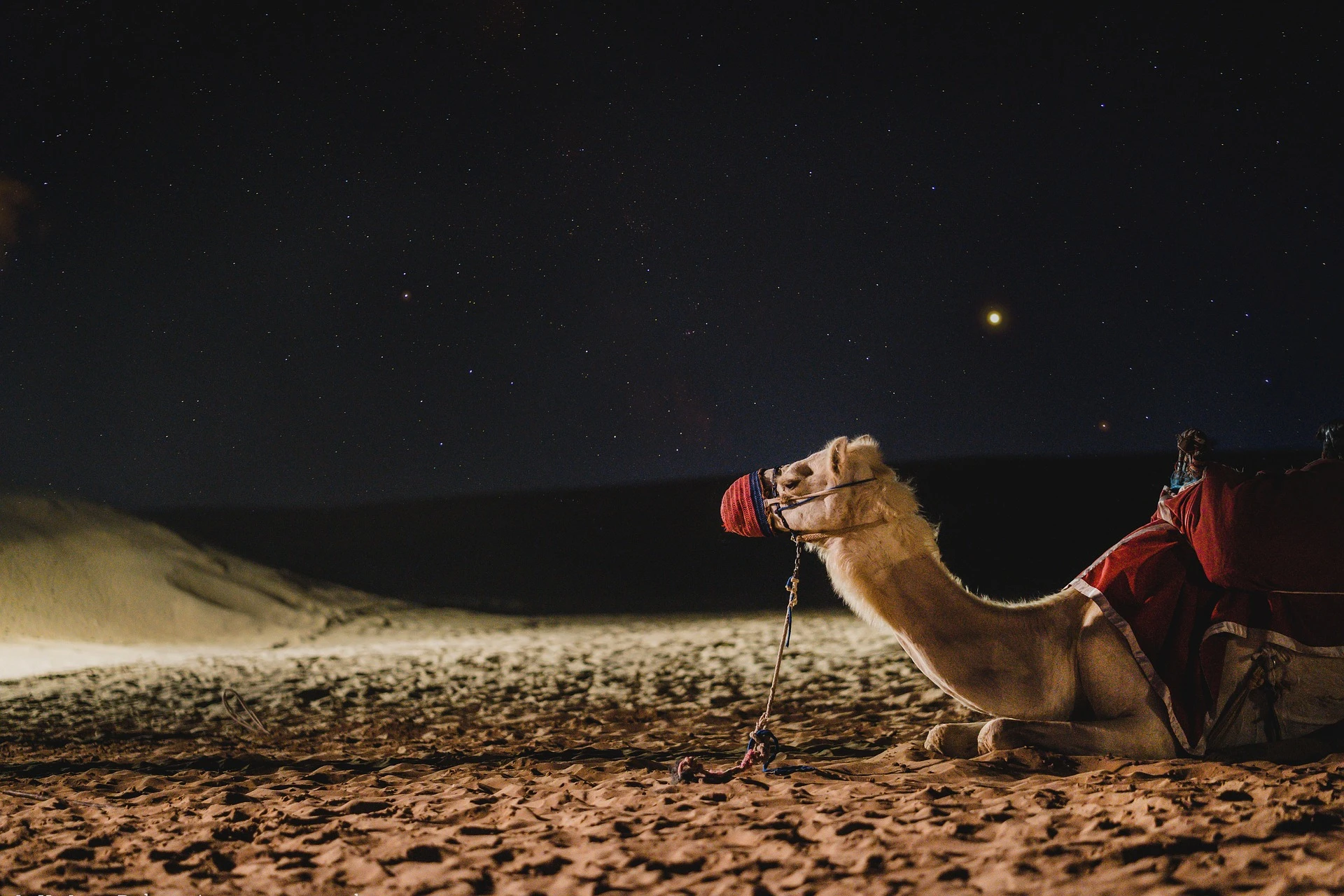 Caracter&iacute;sticas de Dubai