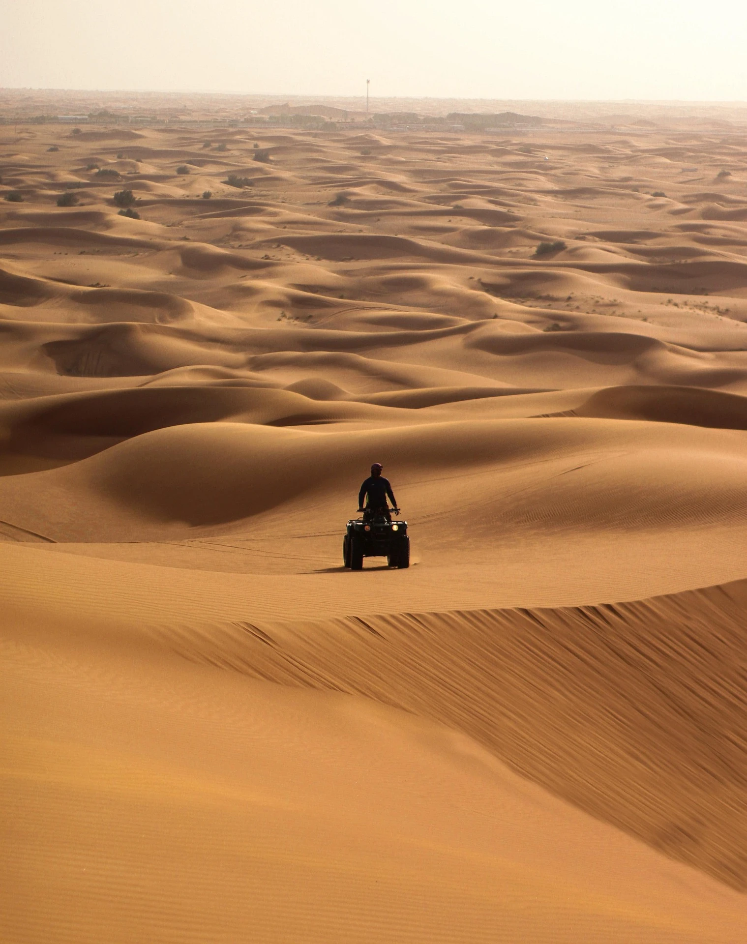 Visita panor&aacute;mica de Dubai