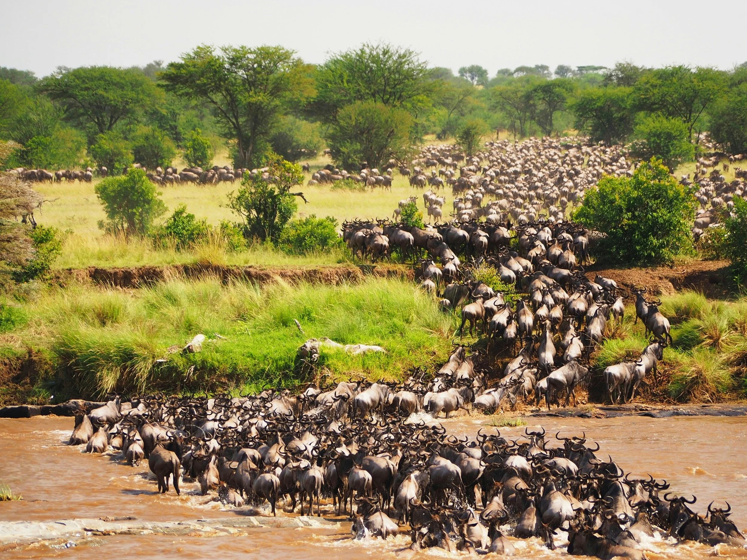 14 Days Ultimate Family Safari in Kenya