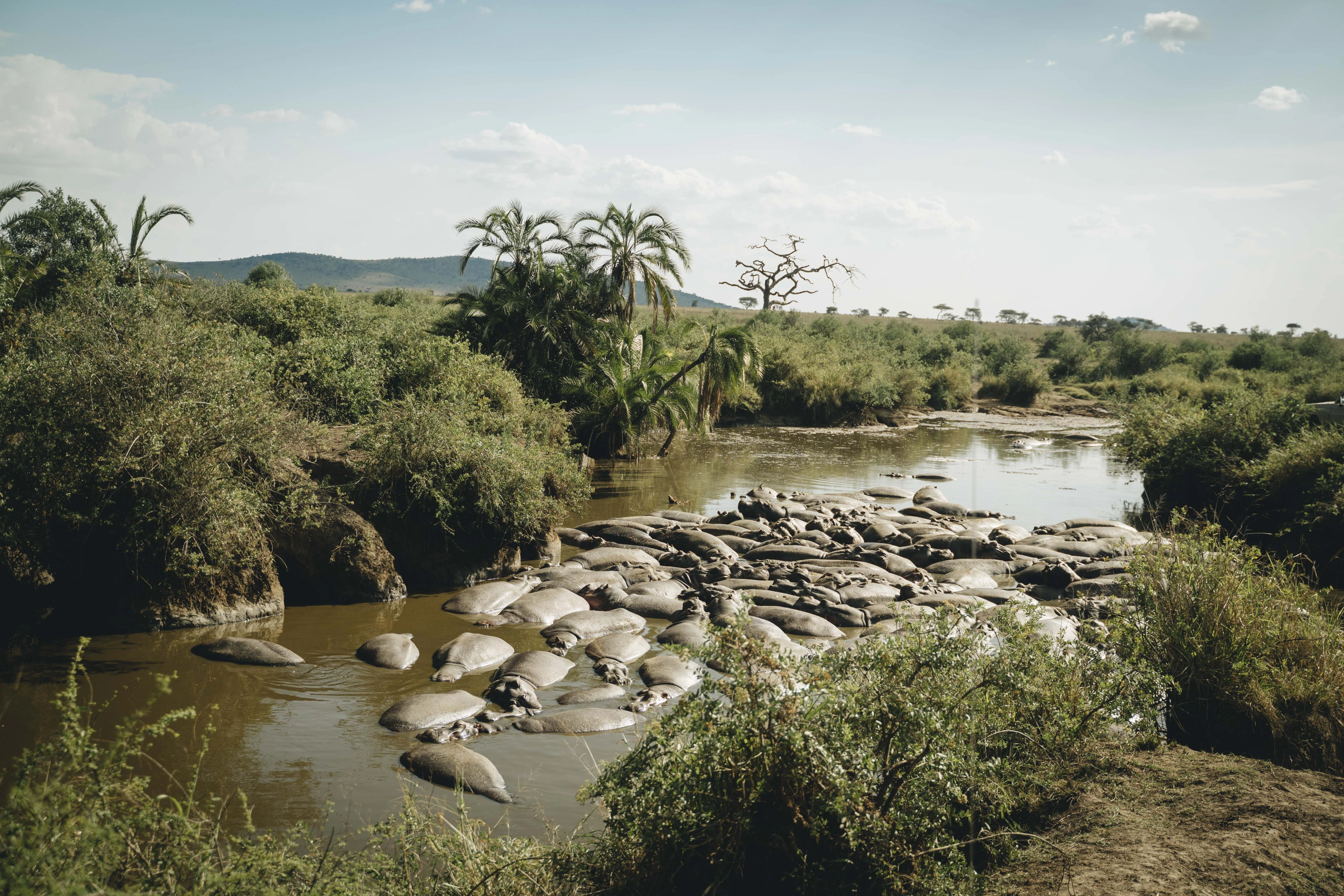 Southern Circuit Safari Landschaft