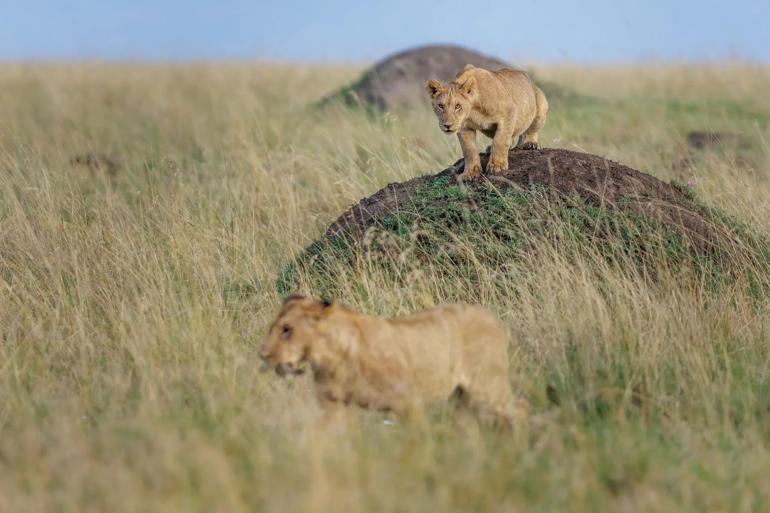 Tanzanias Reiseinformationen