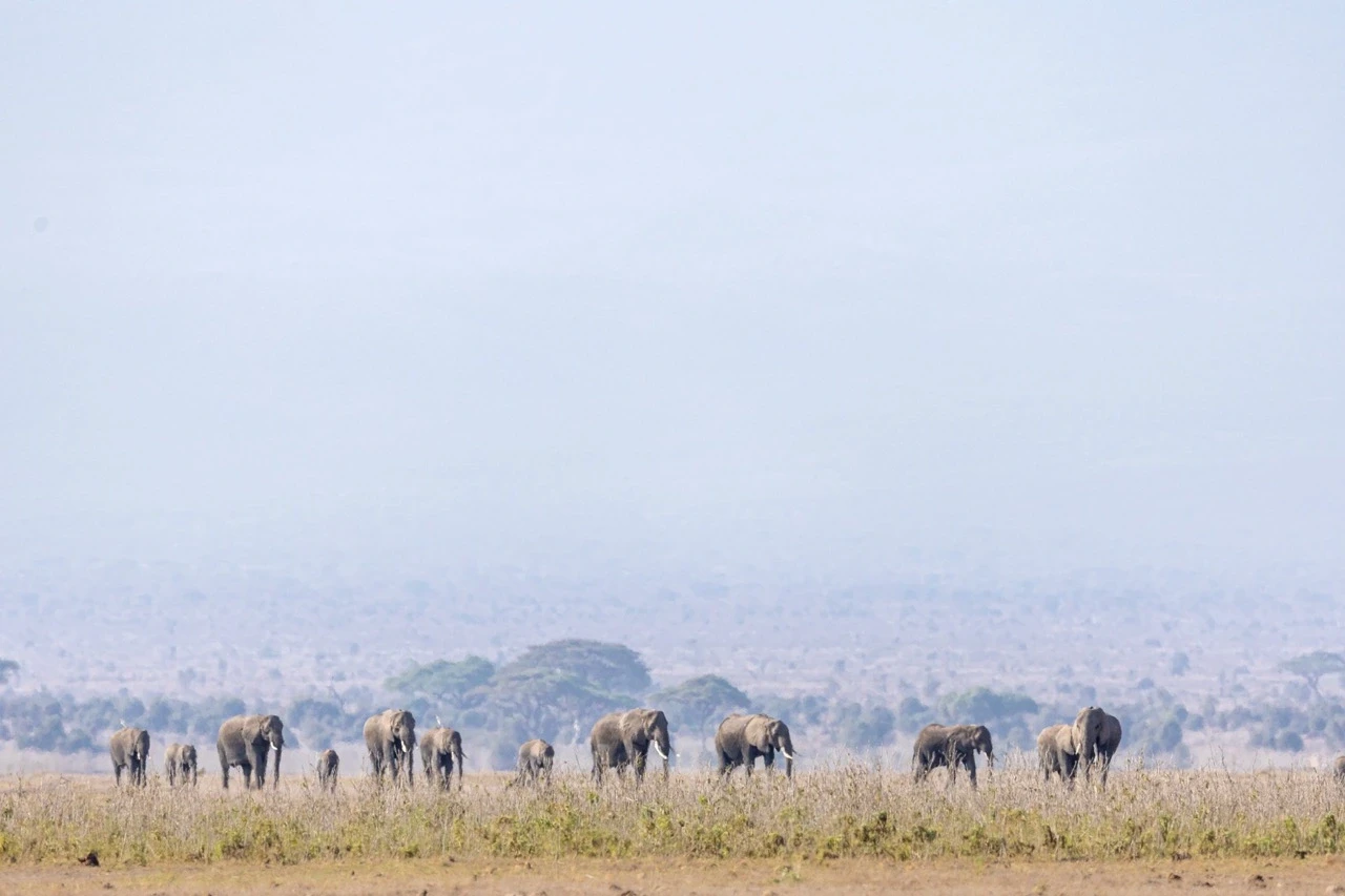 Llegada a Tanzania