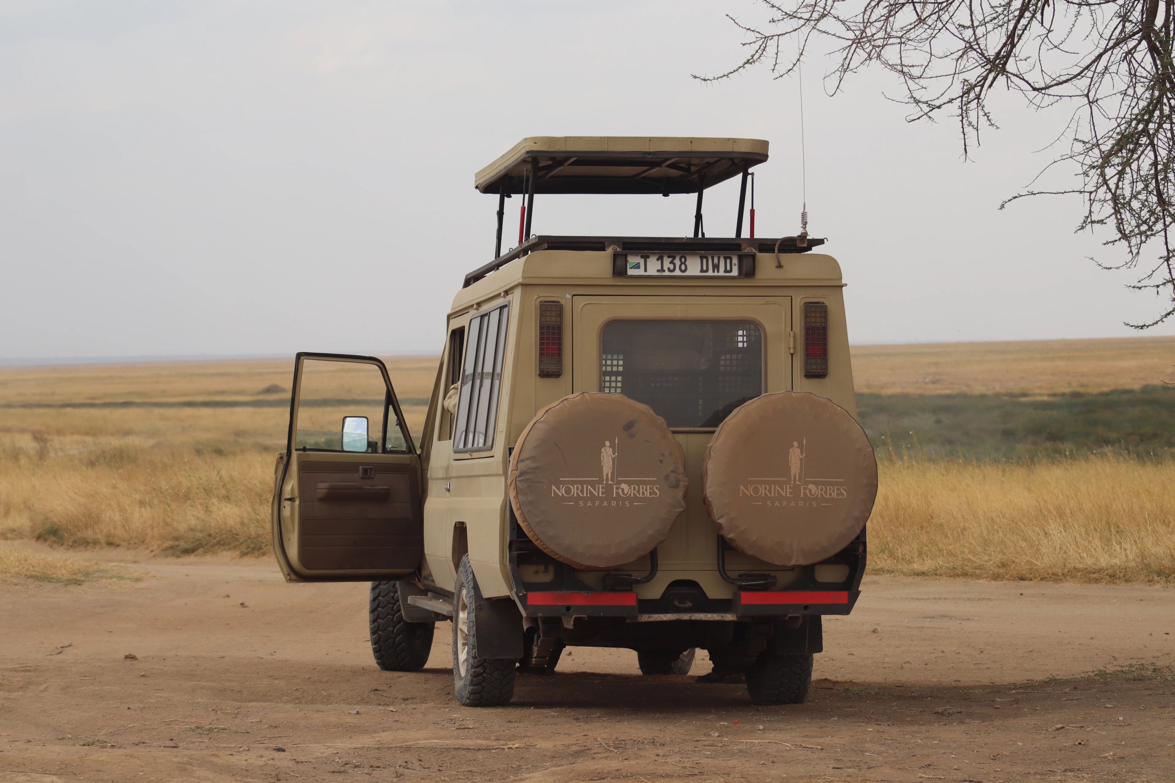 Wildebeest crossing during the Great Migration