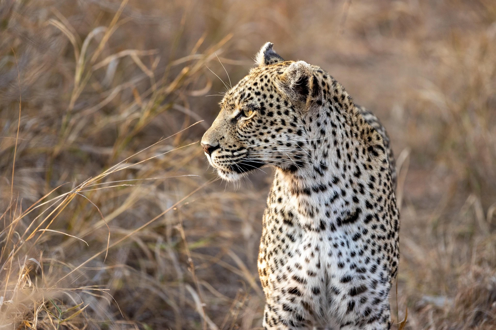 Paisaje de Tanzania