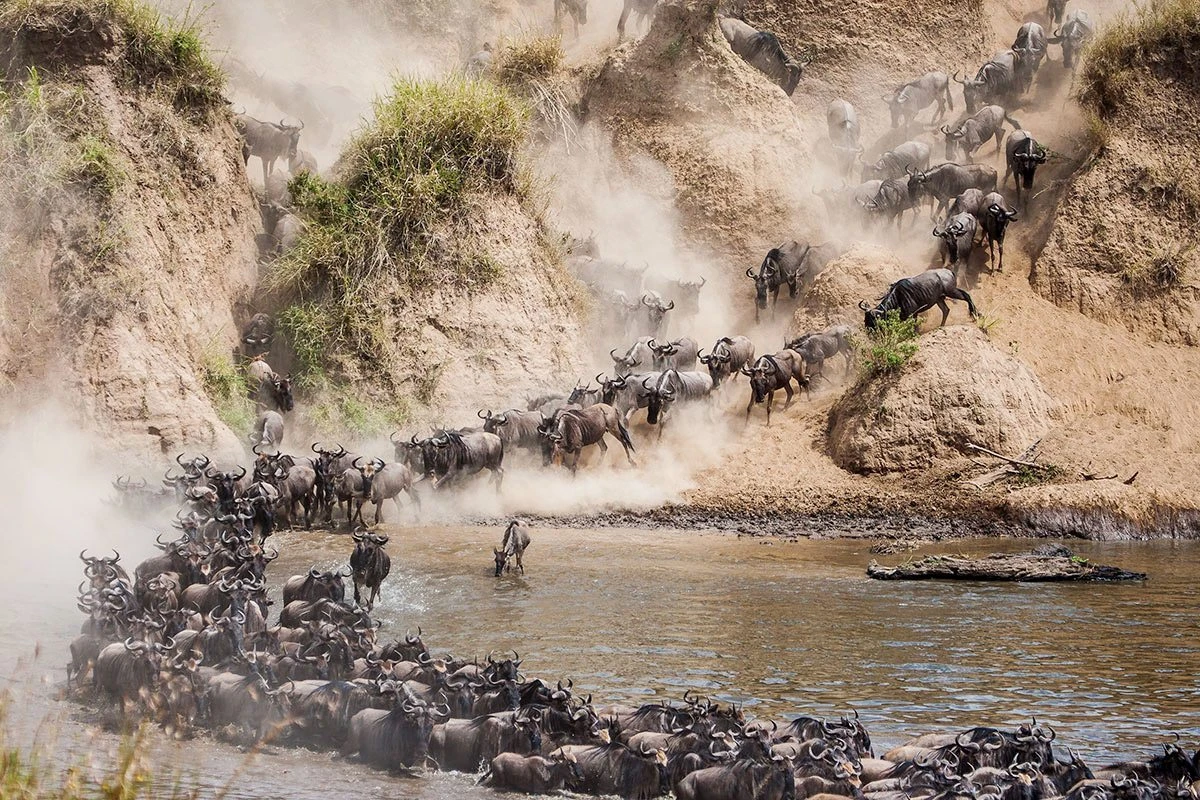 La Gran Migraci&oacute;n en &Aacute;frica Oriental