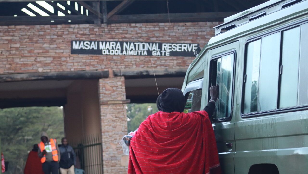 Guided game drive in Maasai Mara