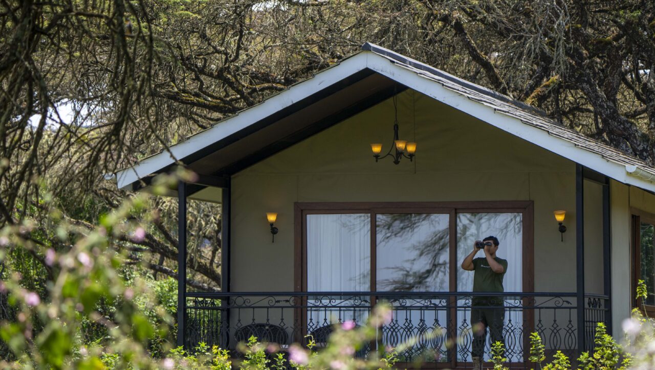 Our guest enjoiying his saty at Lions Paw Ngorongoro Crater
